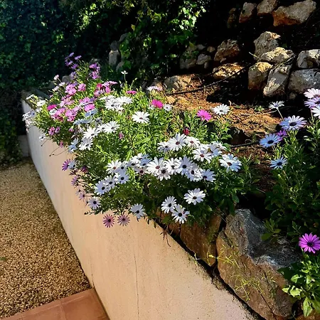 Villa Casa Solymar